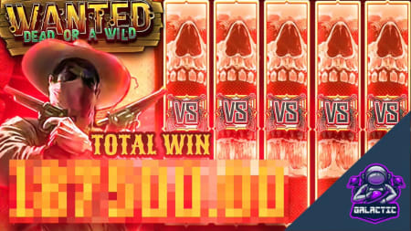 Wanted Dead or a Wild