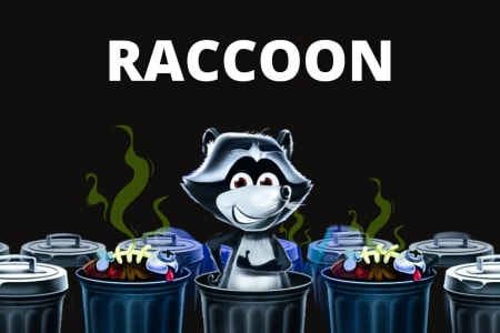 Raccoon